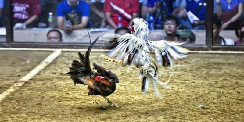 onbet xổ số miền bắc hôm quả