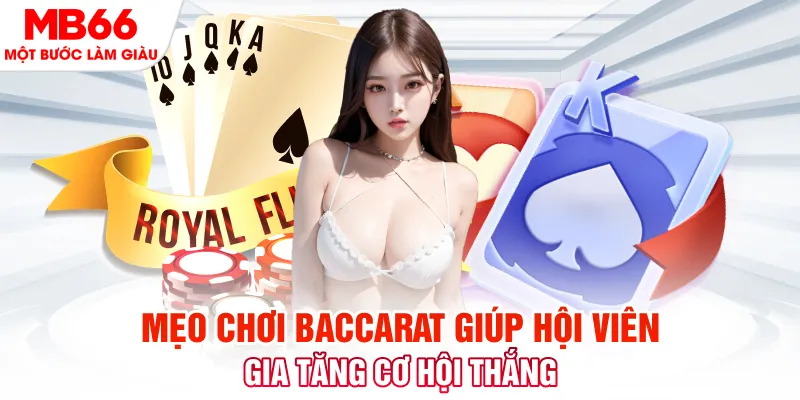 onbet đá gà 88