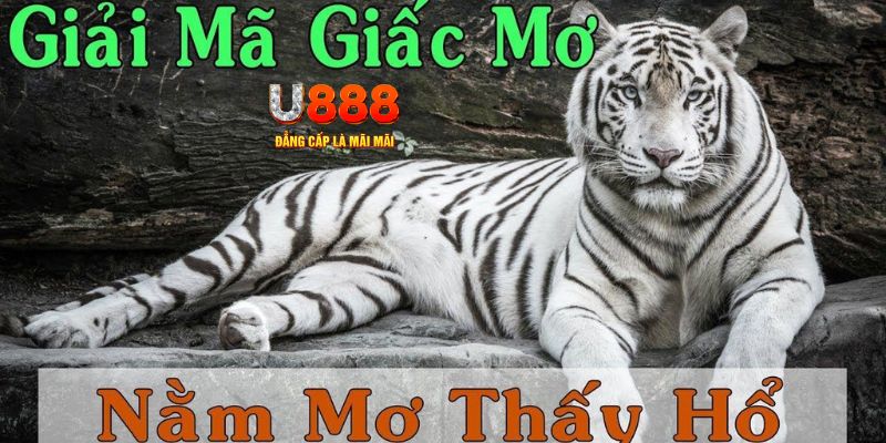 onbet xổ số kiến thiết miền bắc