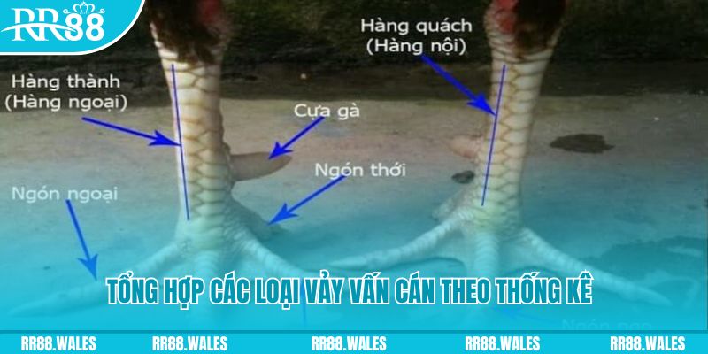 onbet nổ hũ chơi như thế nào
