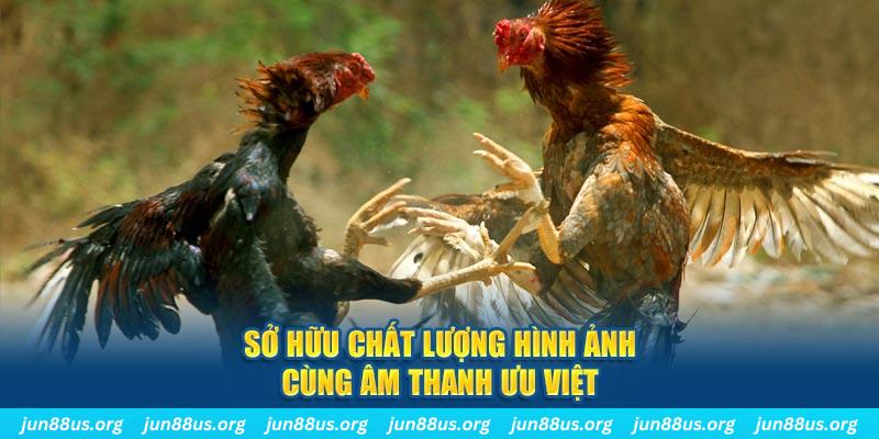 onbet tai game danh bai ve may tinh