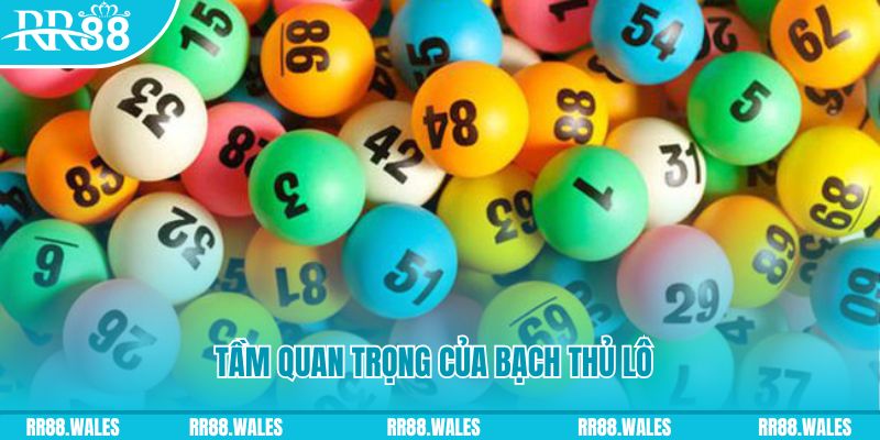 onbet đá gà trực tiếp casino