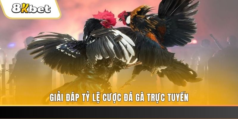 onbet xổ số ba đài