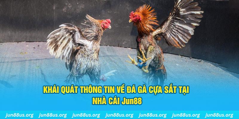 onbet game bài trên máy tính
