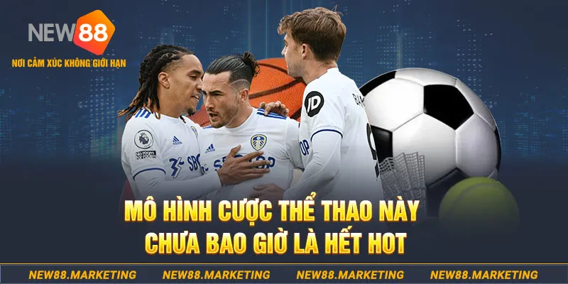 onbet gà chọi c1 thomo