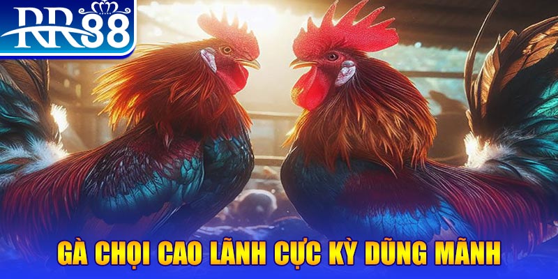 onbet natural” trong baccarat nghĩa là gì？